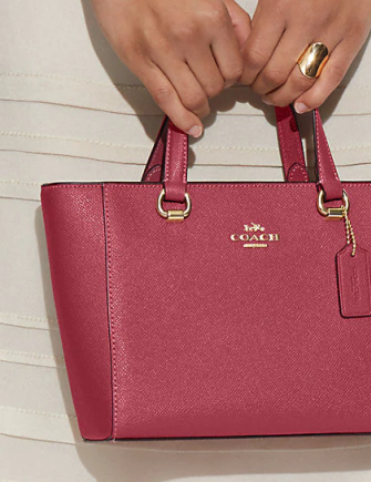 Coach Alice Satchel