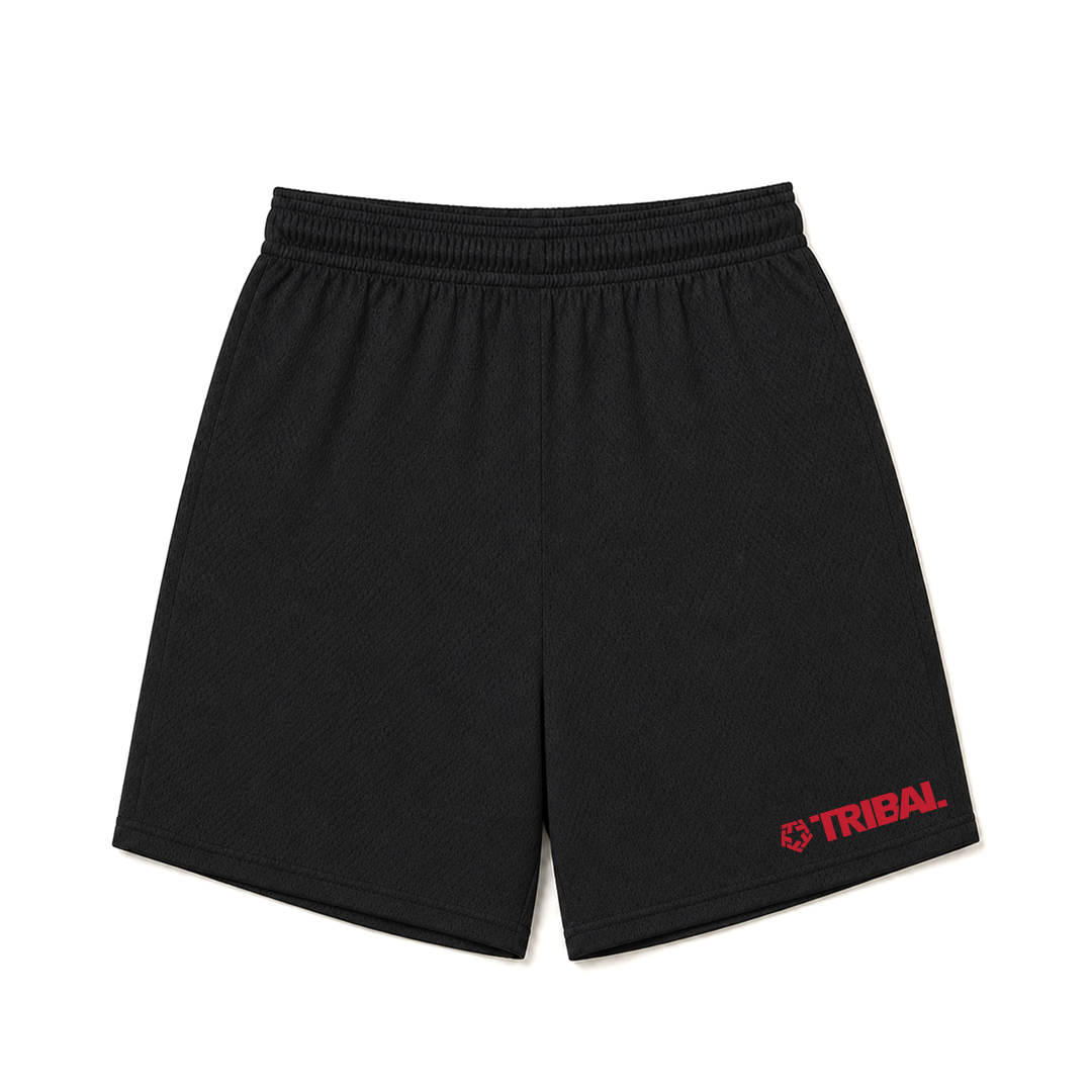 Black Mesh Shorts