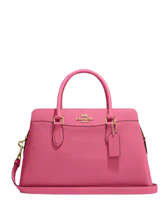 Coach Darcie Carryall