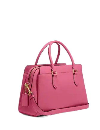 Coach Darcie Carryall