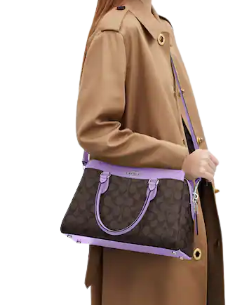 Coach Darcie Carryall In Signature Canvas