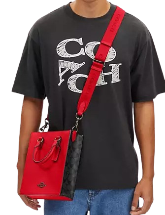Coach Dylan Tote In Colorblock Signature Canvas