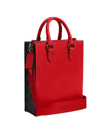 Coach Dylan Tote In Colorblock Signature Canvas