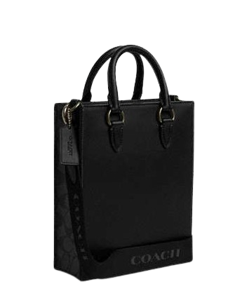 Coach Dylan Tote In Colorblock Signature Canvas
