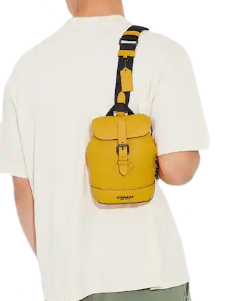 Coach Hudson Small Pack