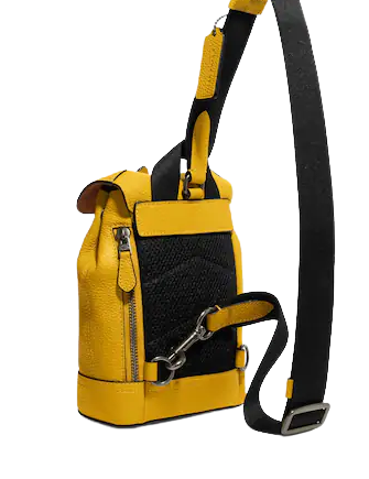 Coach Hudson Small Pack