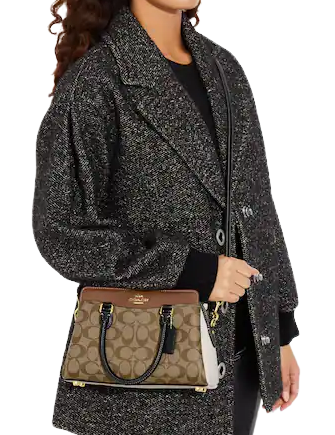 Coach Mini Darcie Carryall In Colorblock Signature Canvas