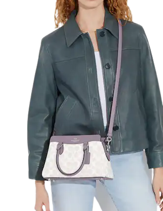 Coach Mini Darcie Carryall In Signature Canvas