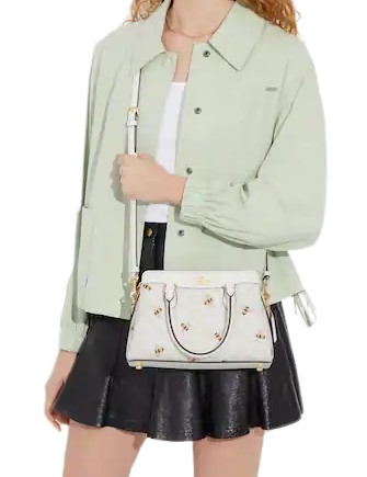 Coach Mini Darcie Carryall In Signature Canvas With Bee Print