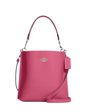 Coach Mollie Bucket Bag 22