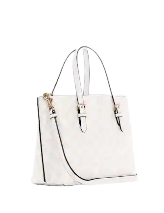 Coach Mollie Tote 25 In Signature Canvas