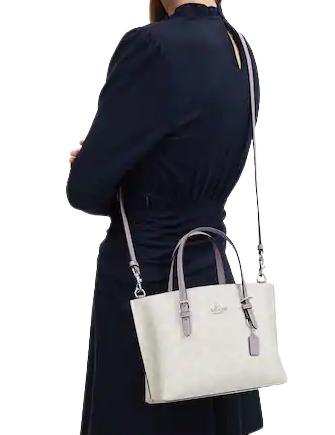 Coach Mollie Tote 25 In Signature Canvas