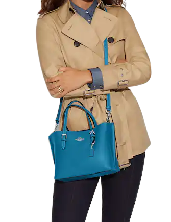 Coach Mollie Tote 25