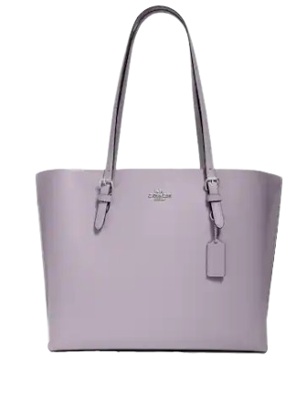 Coach Mollie Tote
