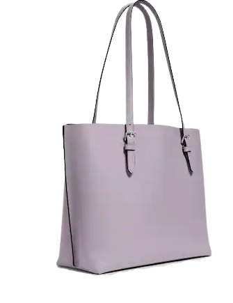 Coach Mollie Tote