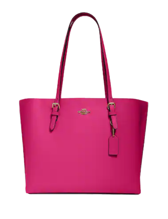 Coach Mollie Tote