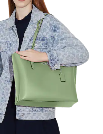Coach Mollie Tote