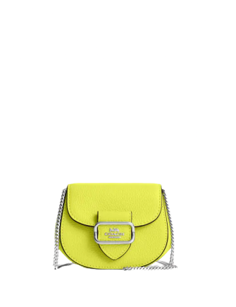 Coach Morgan Card Case On A Chain