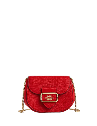 Coach Morgan Card Case On A Chain