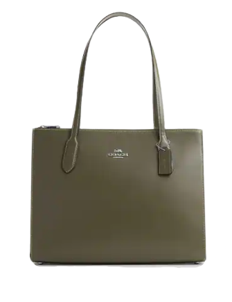 Coach Nina Carryall