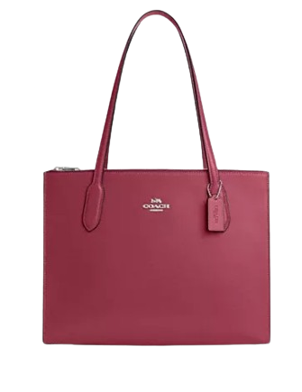 Coach Nina Carryall