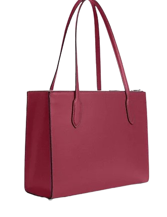 Coach Nina Carryall