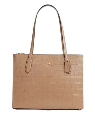 Coach Nina Carryall