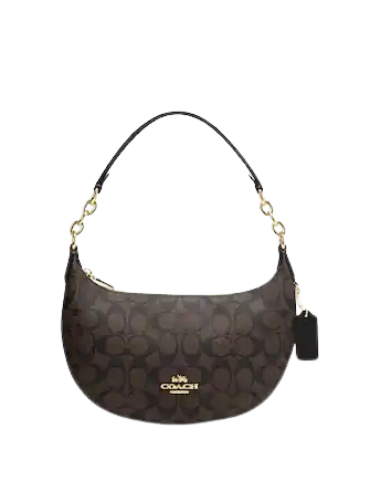 Coach Payton Hobo In Signature Canvas