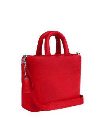 Coach Pillow Tote