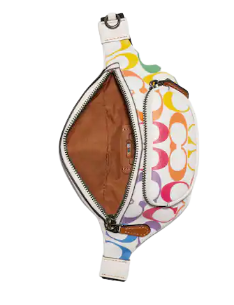 Coach Sprint Belt Bag 24 In Rainbow Signature Canvas