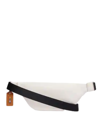 Coach Sprint Belt Bag 24 In Rainbow Signature Canvas