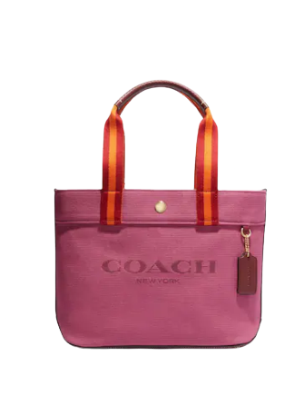 Coach Small Tote