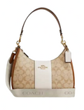 Coach Teri Hobo In Signature Canvas With Stripe