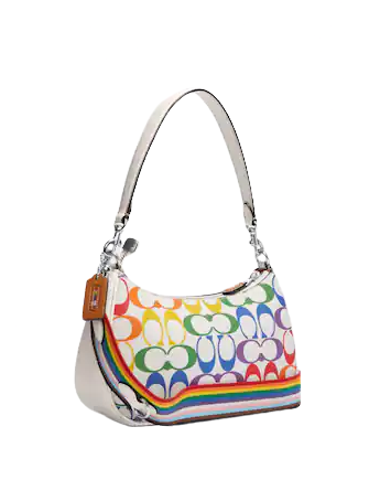Coach Teri Shoulder Bag In Rainbow Signature Canvas