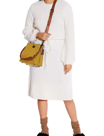 Coach Willow Bucket Bag In Colorblock