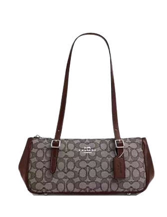 Coach Asher Shoulder Bag In Signature Jacquard