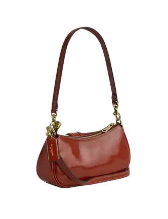 Coach Ashton Mini Shoulder Bag