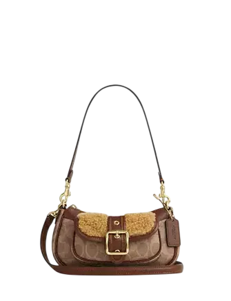 Coach Ashton Mini Shoulder Bag In Signature Canvas