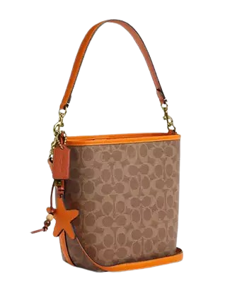 Coach City Bucket Bag In Signature Canvas With Star Charm