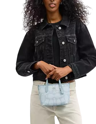 Coach City Mini Tote Bag In Sketch Signature Canvas