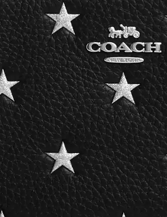 Coach Corner Zip Wristlet With Star Print