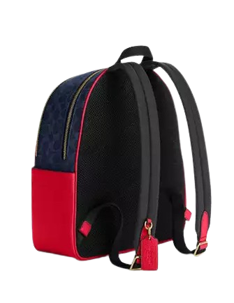 Coach Court Backpack In Signature Canvas