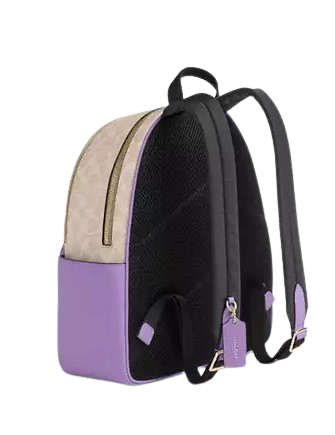 Coach Court Backpack In Signature Canvas
