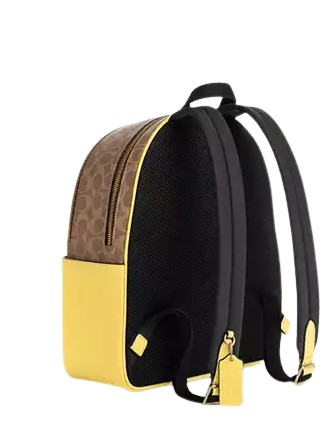 Coach Court Backpack In Signature Canvas