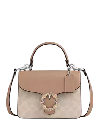 Coach Courtney Top Handle Bag In Signature Canvas