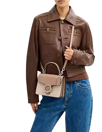Coach Courtney Top Handle Bag In Signature Canvas