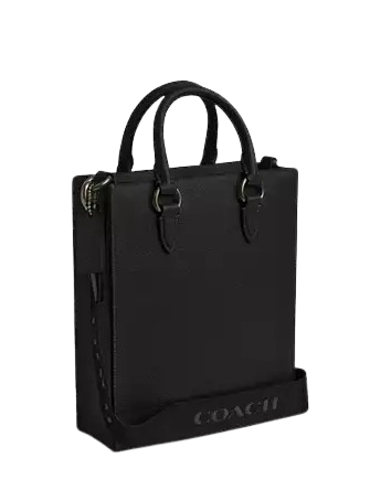 Coach Dylan Tote Bag