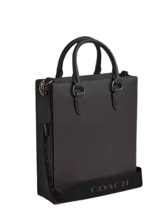 Coach Dylan Tote Bag