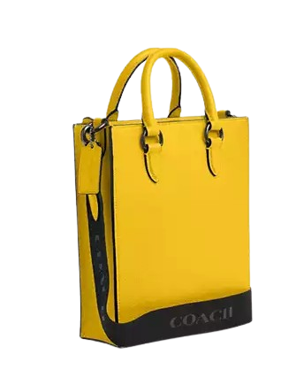 Coach Dylan Tote Bag
