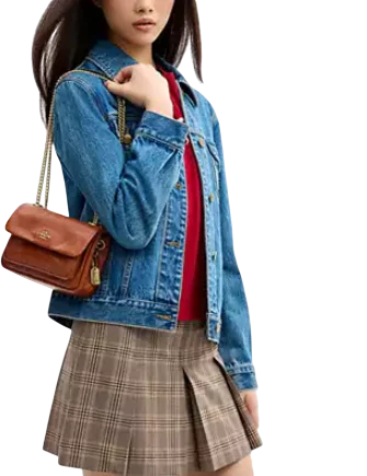 Coach Elodie Crossbody Bag 18 With Quilting